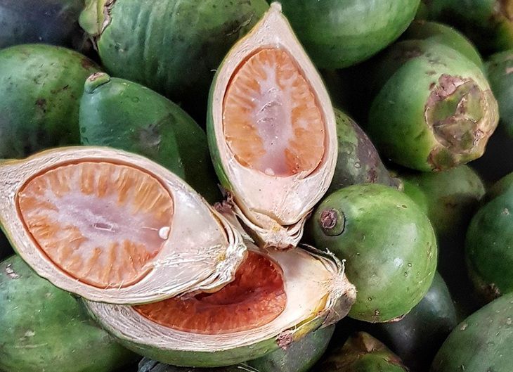 Российские подростки «подсели» на дурман-орех: он вызывает рак и зависимость – продают ли его в Беларуси Орехи