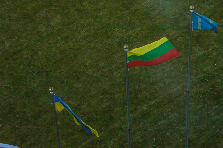 Стало известно, сколько Литва может потерять из-за закрытия границы с Беларусью Флаги