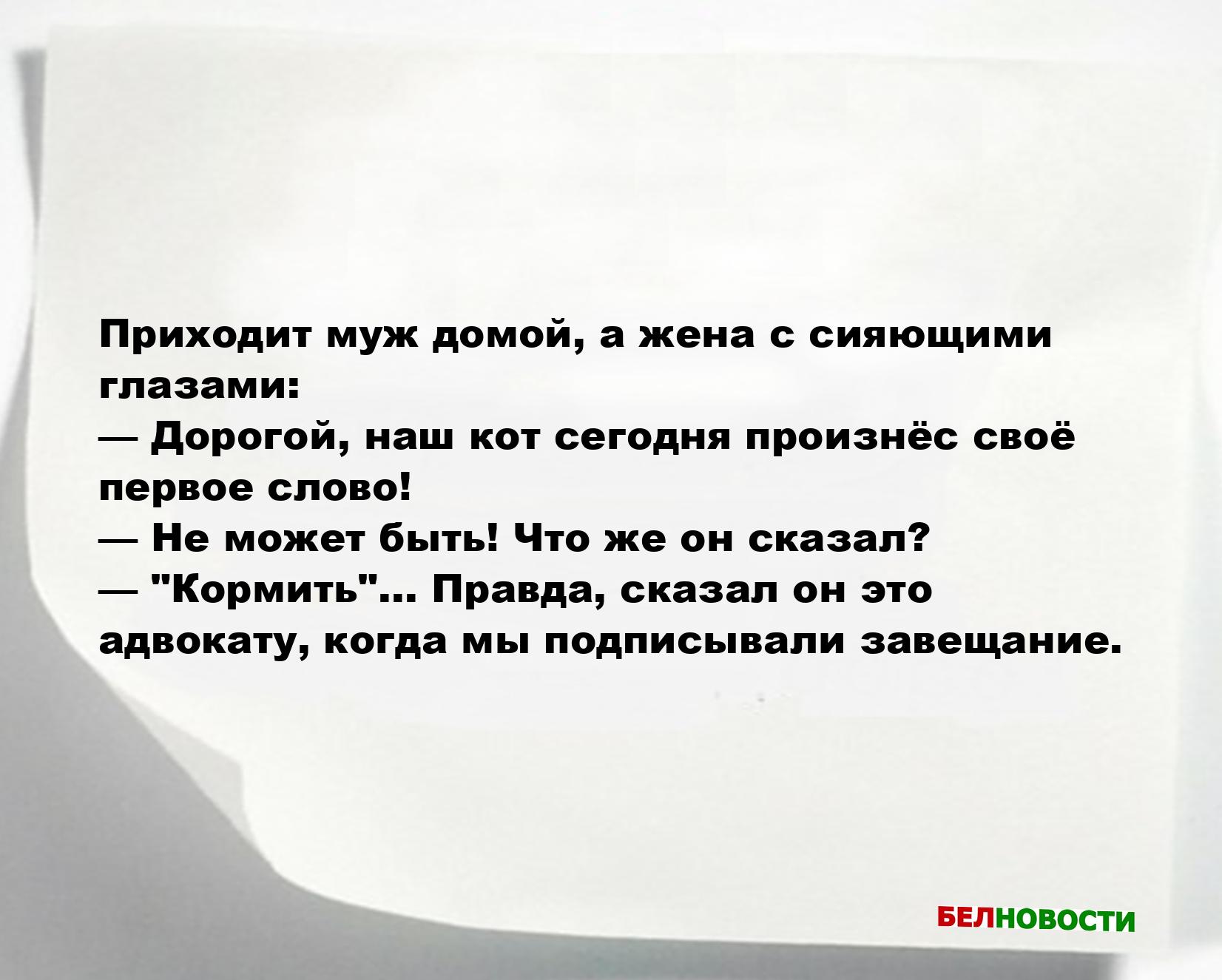 Свежие анекдоты и юмор за 11 Ноября 2025