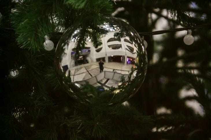 320 рублей за воздух: житель Барановичей перевел деньги за елку и остался ни с чем Елка