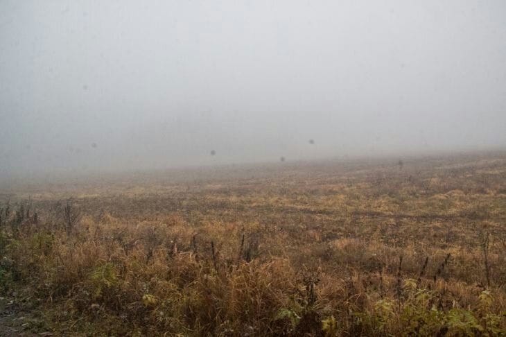 Какой сегодня праздник: 13 ноября 2025 года Поле