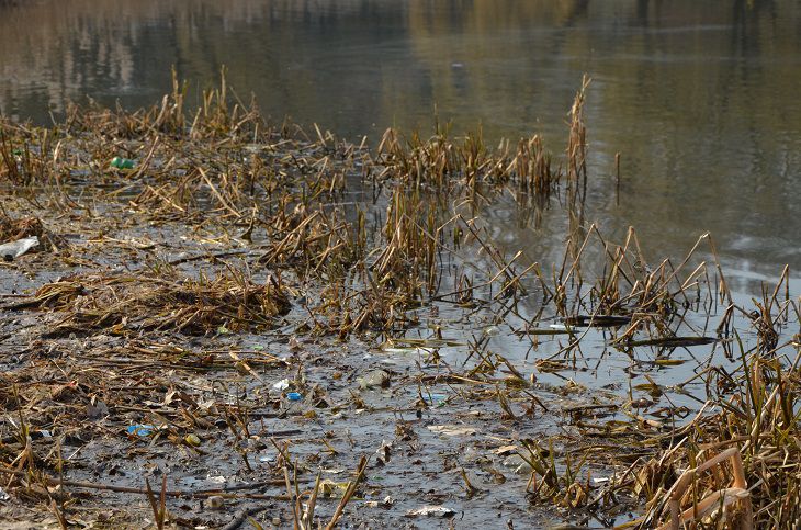 В Гродненском районе утонул человек водоем