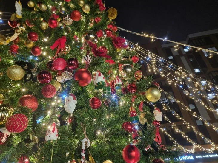 Морозы, но надолго ли? Приметы и прогноз погоды на начало января от Дмитрия Рябова Елка