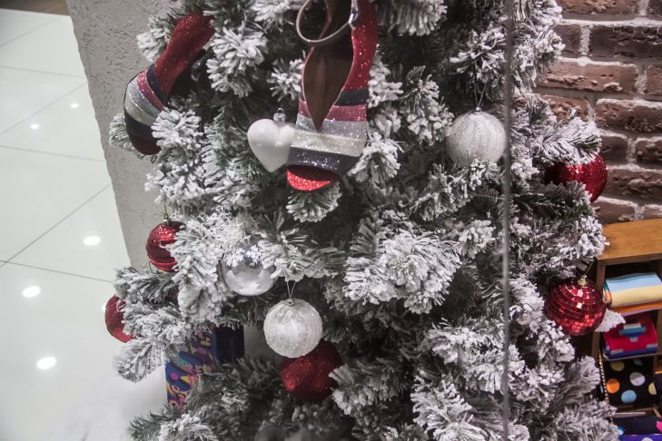 Что ждет Козерогов в 2026 году: почему их трудолюбие будет вознаграждено сторицей елка