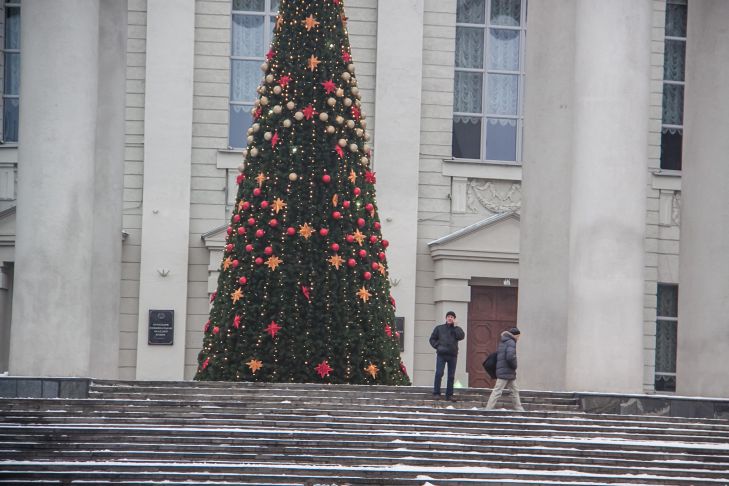 Как Ракам использовать энергию Лошади для карьерного роста: совет для привлечения удачи елка