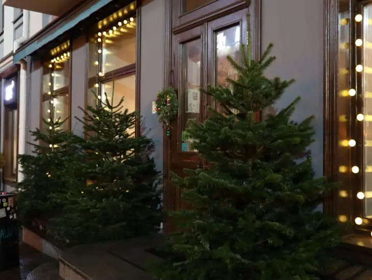 Что ждет ваши отношения в Год Лошади: для каких пар 2026 станет годом страсти, а для каких — разлуки елка