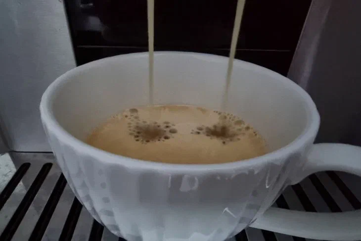 Philips Series 5400 2024 и De’Longhi Magnifica Evo 2025 — чьи настройки проще Кофе