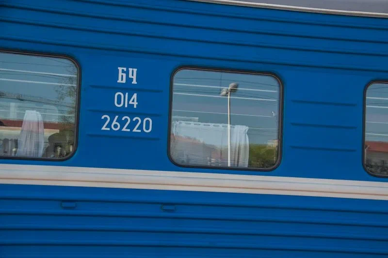 Новогодние поезда отправляет БЖД в Беловежскую пущу: что приготовили для туристов Поезд