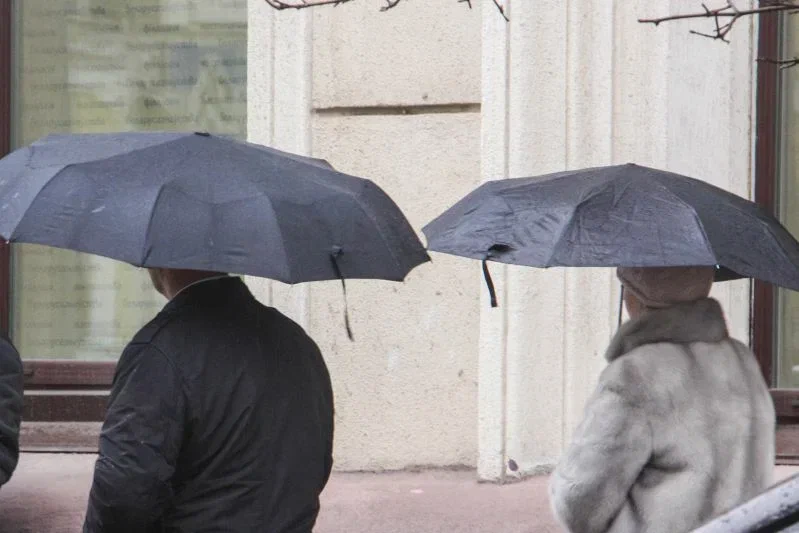 До +10 прогнозирует Белгидромет: дожди сегодня пройдут на большей части Беларуси Зонт