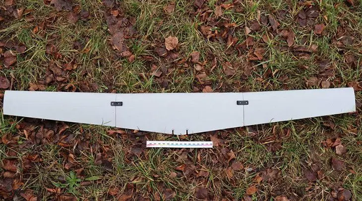 Установлен оператор, запустивший БПЛА из Литвы в Беларусь БПЛА