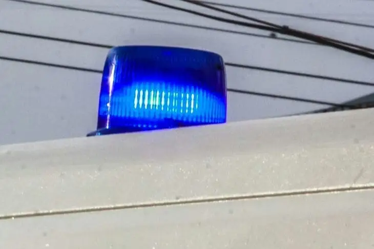 Очевидное убийство: режиссер Роб Райнер и его жена найдены мертвыми в своем доме в Лос-Анджелесе Мигалка