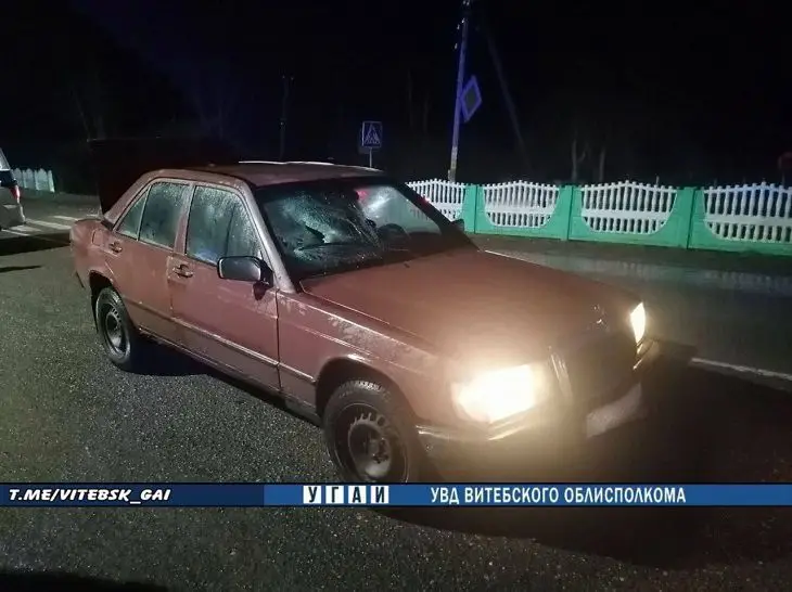 В Витебской области под колеса авто дамы и пенсионера попали два человека автомобиль