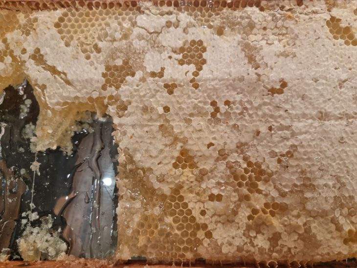 Почему в винегрет стоит добавить ложку меда: этот соус станет главным на вашем столе мед