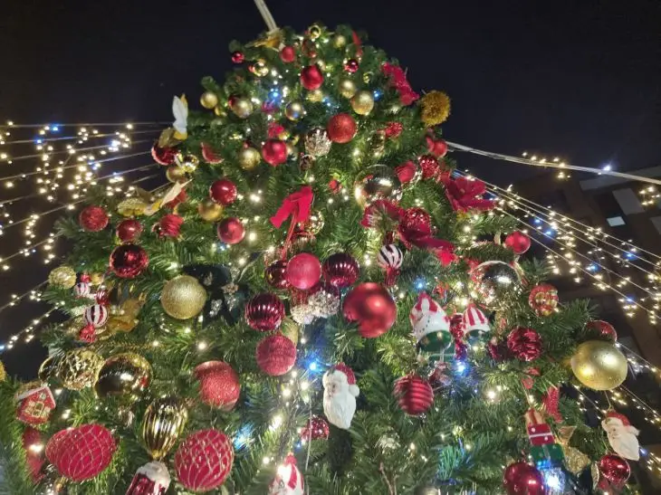 Что ждет Дев в 2026 году: как год Лошади поможет им навести порядок в жизни елка