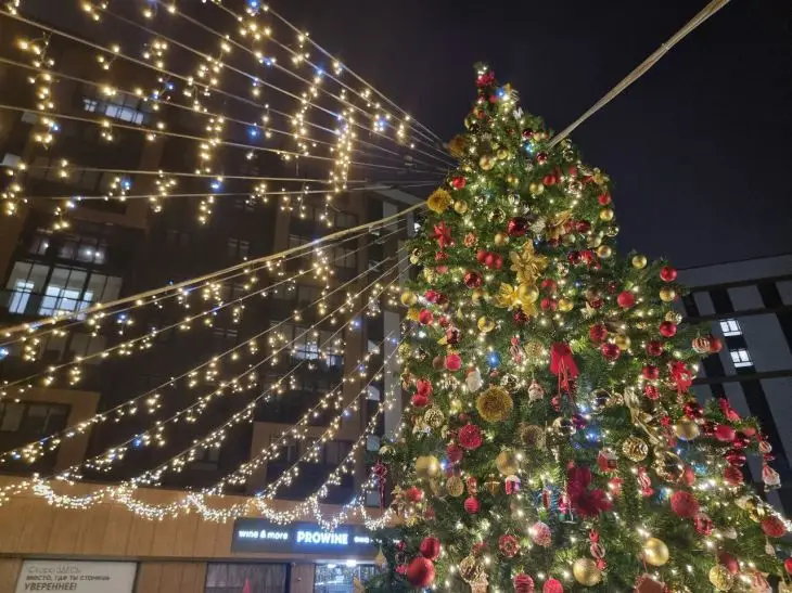 Что обещает год Лошади Стрельцам: почему их мечты наконец сбудутся елка