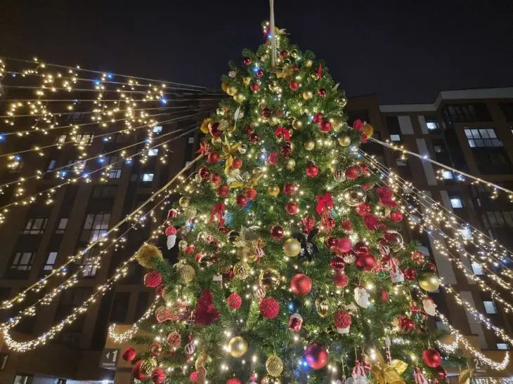 Входим в 2026 год: Минтруда напомнило о важнейших изменениях в жизни белорусов ель