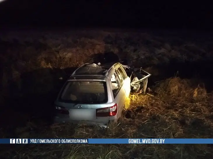 В Беларуси после встречи с лосем погибли два человека автомобиль