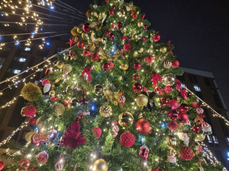 В Гомеле от души «зажигали»: фееричное лазерное шоу организовали ель