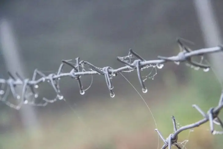 Адвокат Блиновской рассказала о привилегиях блогера в колонии Проволока