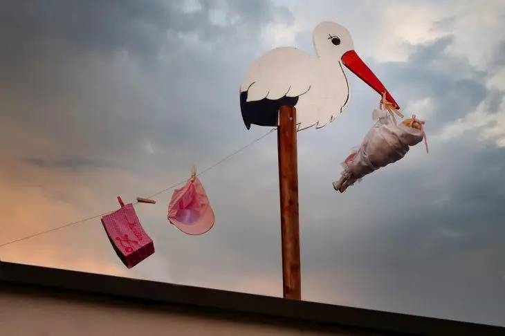 70-летняя Вупи Голдберг стала прабабушкой: у нее уже две правнучки Аист