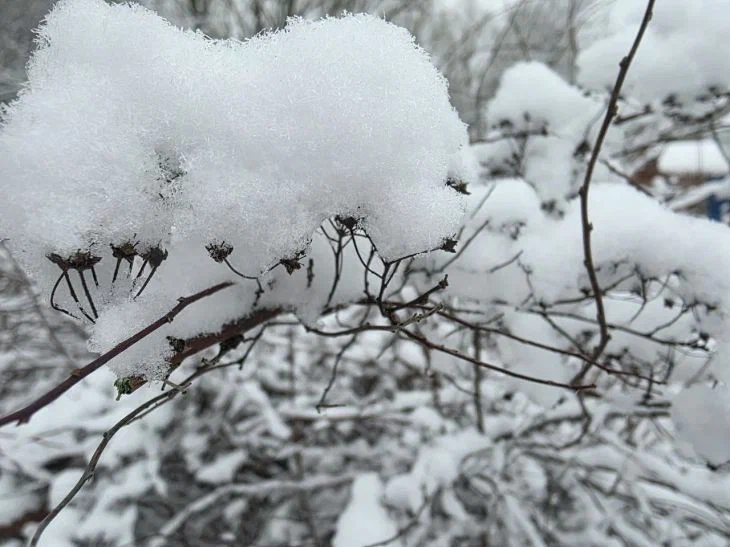 Какой будет зима в Беларуси: запоминайте прогноз от Дмитрия Рябова Зима