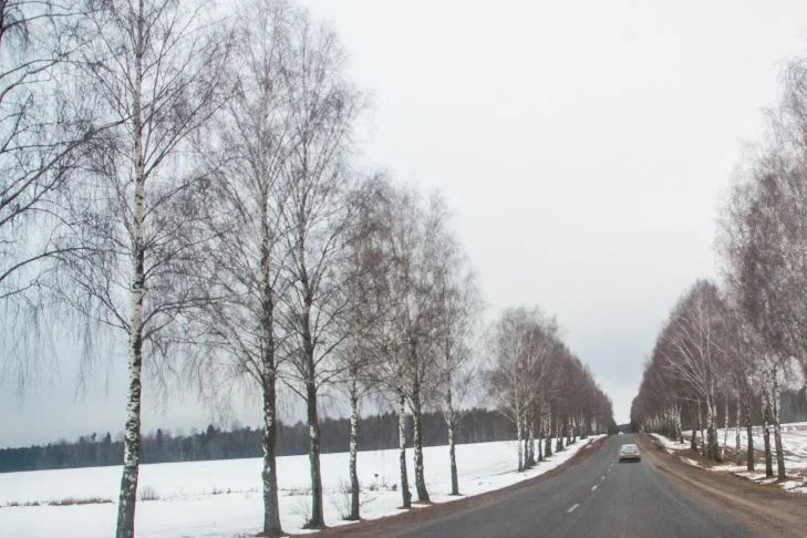 Холодно и скользко: какая погода ожидает Беларусь в субботу Зима