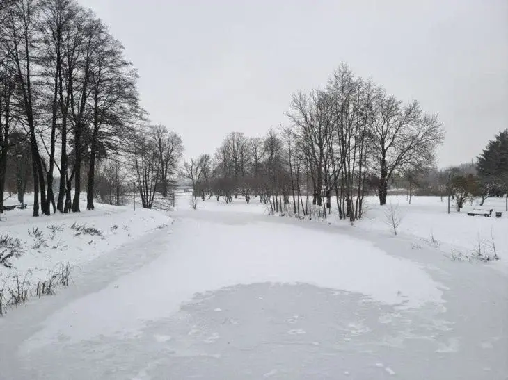 Какой сегодня праздник: 19 декабря 2025 года Зима