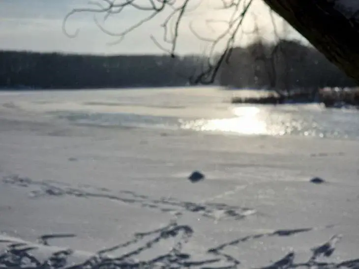 Какой сегодня праздник: 21 декабря 2025 года Зима