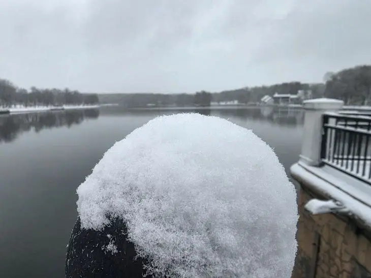 Какой сегодня праздник: 31 декабря 2025 года Зима