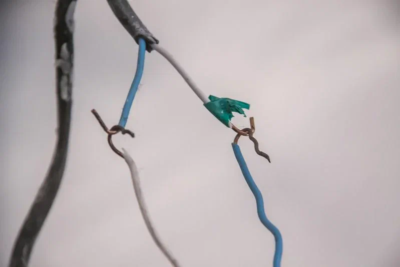 Сколько суток белорусы могут сидеть без электричества при форс-мажоре: «Золотой стандарт» энергетиков Провода