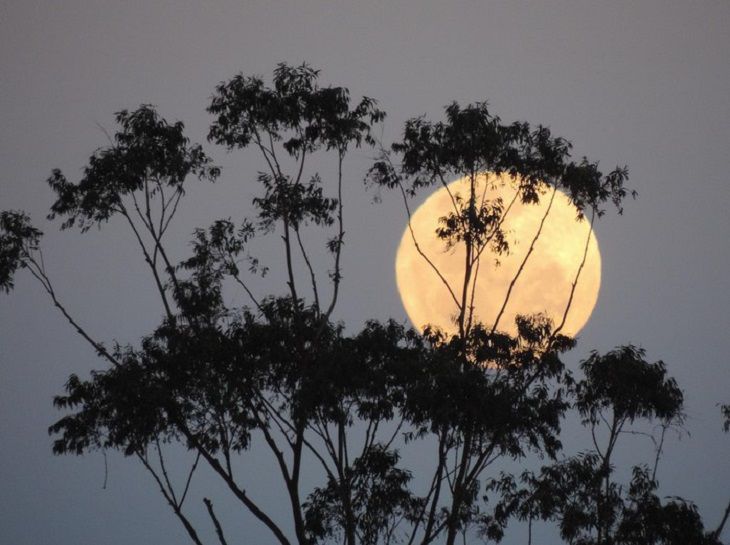 Волчья Луна. Белорусы 3 января смогут увидеть первое в этом году суперлуние Луна
