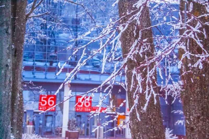 Как энергосистема Беларуси справилась с непогодой: комментарий главы Минэнерго Зима