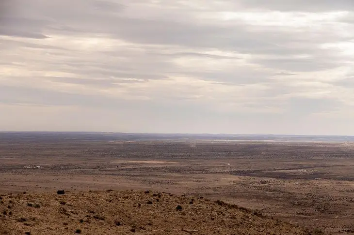 Погибнет все живое. Ученые назвали срок, когда Земля станет необитаемой природа