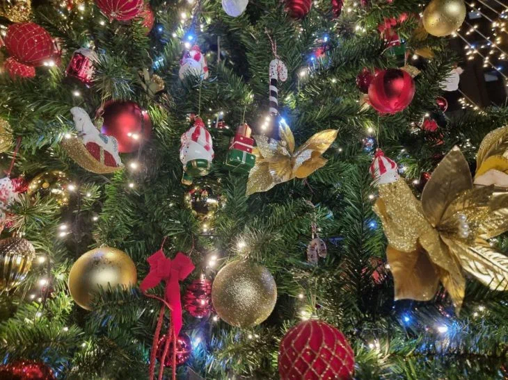 Куда сдать новогоднюю елку в Минске: в ЖКХ назвали пункты сбора Елка