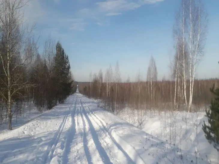 Что ждать белорусам от февраля: синоптик Рябов дал ответ снег