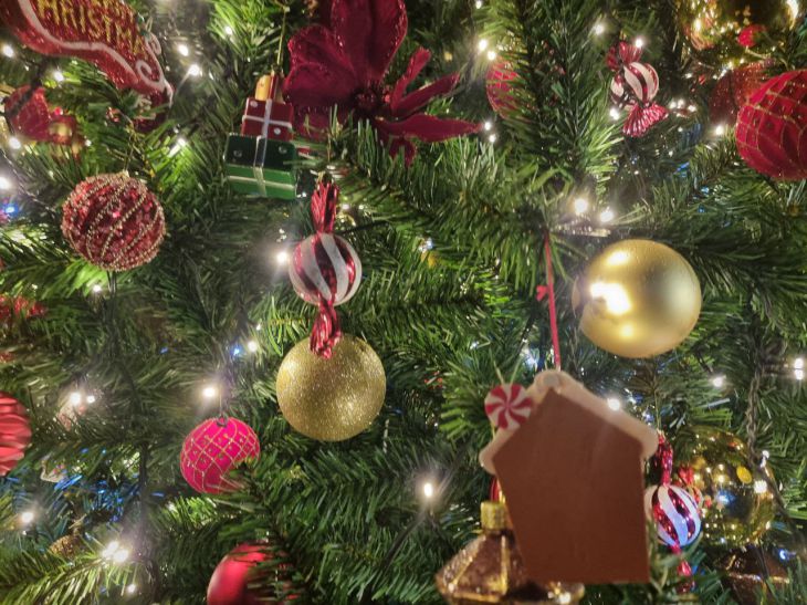 Почему Близнецы рискуют в год Лошади: богатство или настоящая любовь новый год