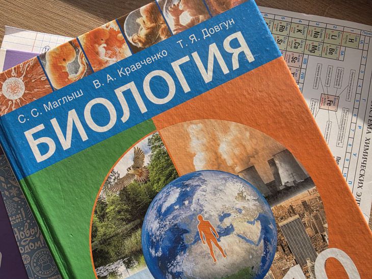 Как зажечь интерес к учебе: прием, который отменит скандалы за уроками учебники