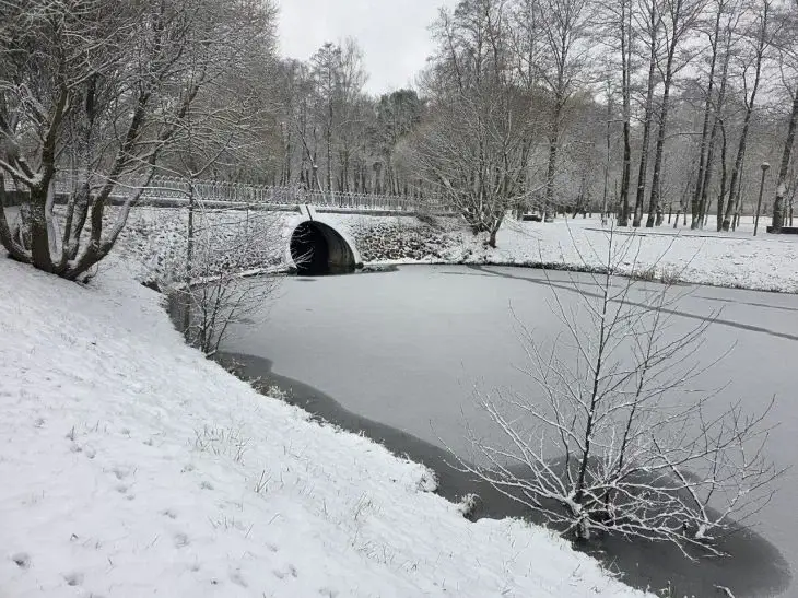 Какой сегодня праздник: 10 января 2026 года Природа