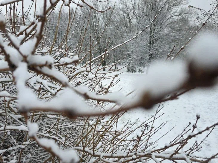 Какой сегодня праздник: 5 января 2026 года