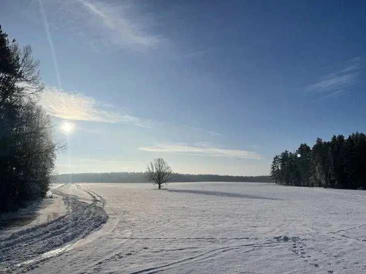 Какой сегодня праздник: 22 января 2026 года Зима