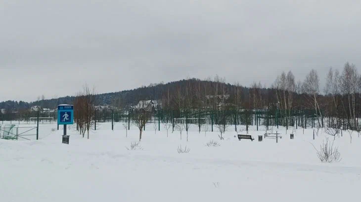 Какой сегодня праздник: 29 января 2026 года Зима