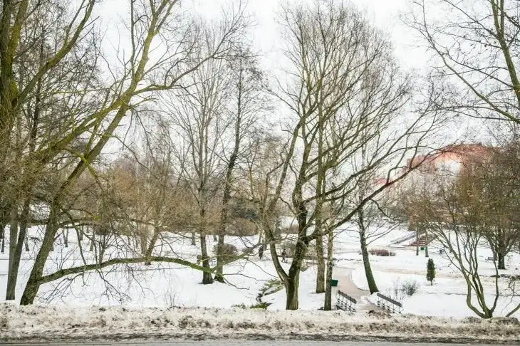 Какой сегодня праздник: 1 февраля 2026 года Зима