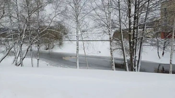 Какой сегодня праздник: 13 января 2026 года Зима