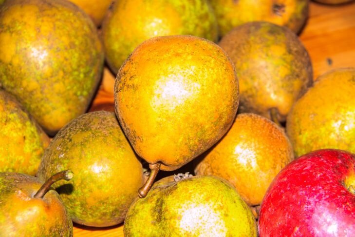20 тонн груш из Беларуси не пропустил Россельхознадзор: решение принято в интересах сельхоз производителей Груши