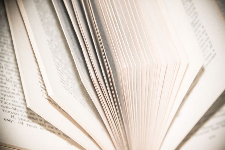 Житель Борисова, продавая книгу, лишился 2 000 рублей