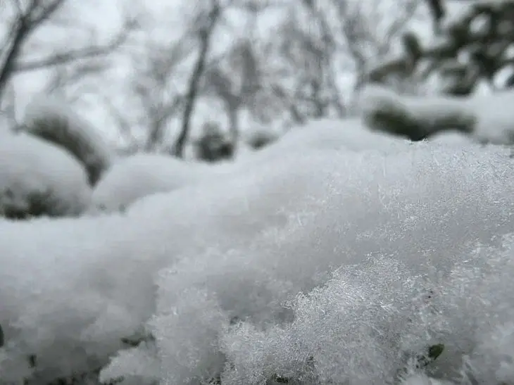 Зима в самом разгаре? Какой будет погода в Беларуси 17–22 февраля 2026 года: Снег