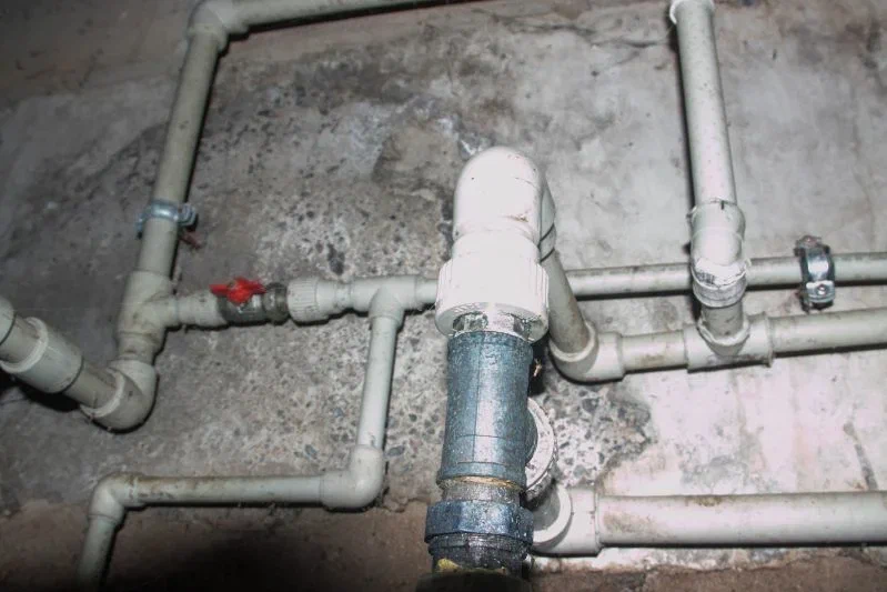 Почему за укрывательство кошек в подвалах теперь грозит наказание: рассказали в МЖКХ