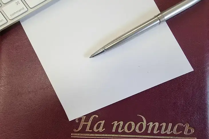 Заявку на бренд «Лариса Долина. Сохранить и приумножить» подали в Роспатент от имени певицы: для операций с недвижимостью Бумага