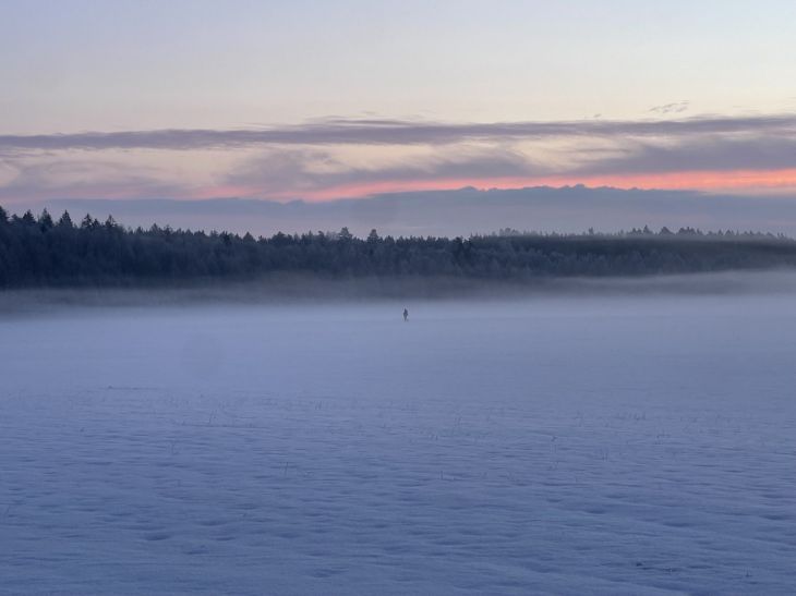 Будет ли оттепель? Дмитрий Рябов рассказал о погоде с 23 февраля по 1 марта 2026 года природа