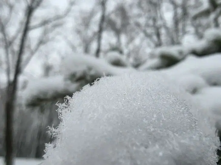 Какой сегодня праздник: 17 февраля 2026 года Снег